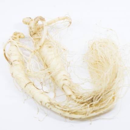 高麗人参