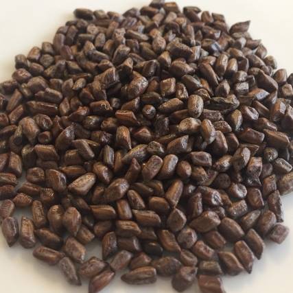 ハブ茶